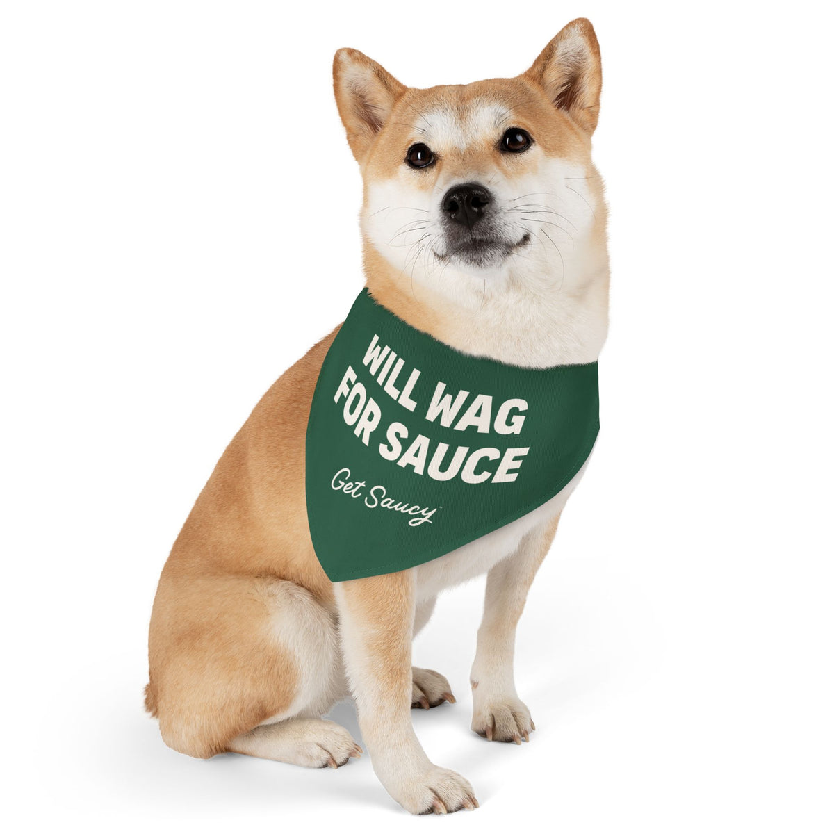 Clip-on Pet Bandana - Will Wag For Sauce