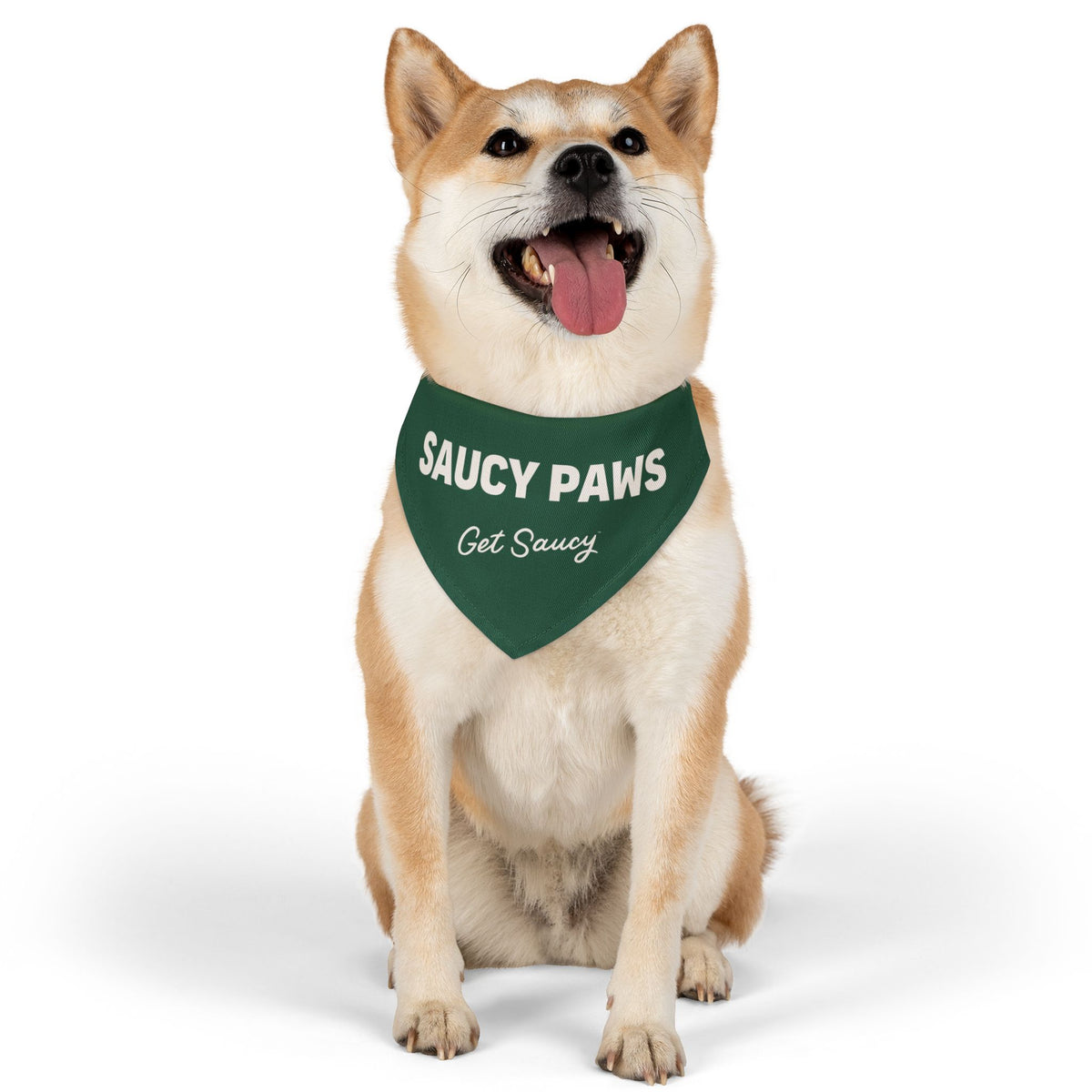 Clip-on Pet Bandana - Saucy Paws